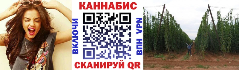 Конопля THC 21%  Вяземский 